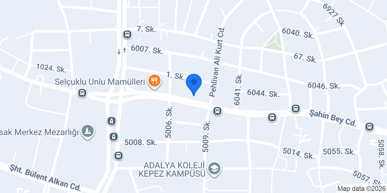 SARAY SEZGİN KOKOREÇ konumu