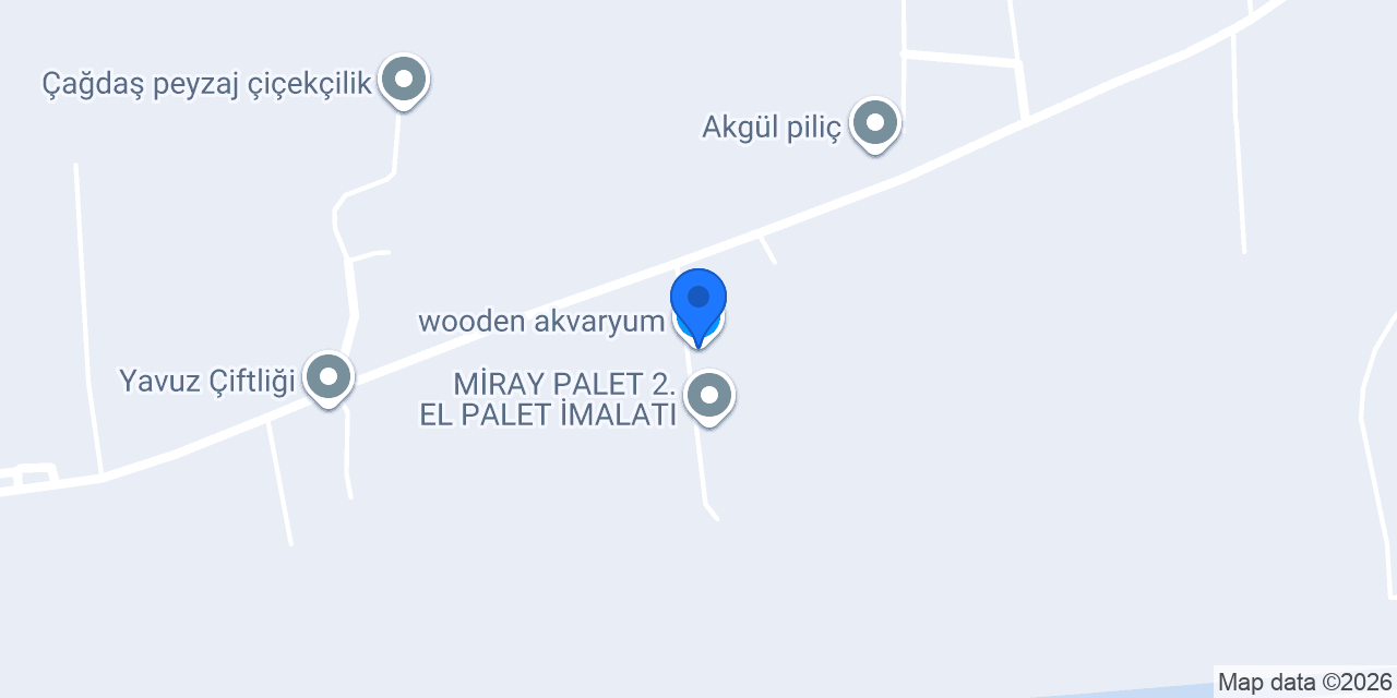 wooden_akvaryum konumu