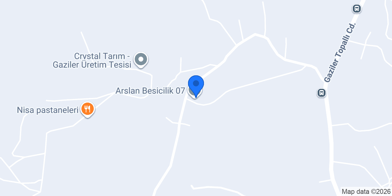 Arslan Besicilik 07 konumu