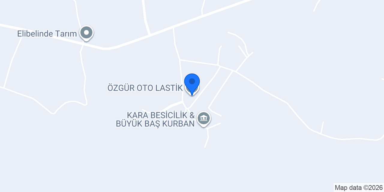 ÖZGÜR OTO LASTİK konumu