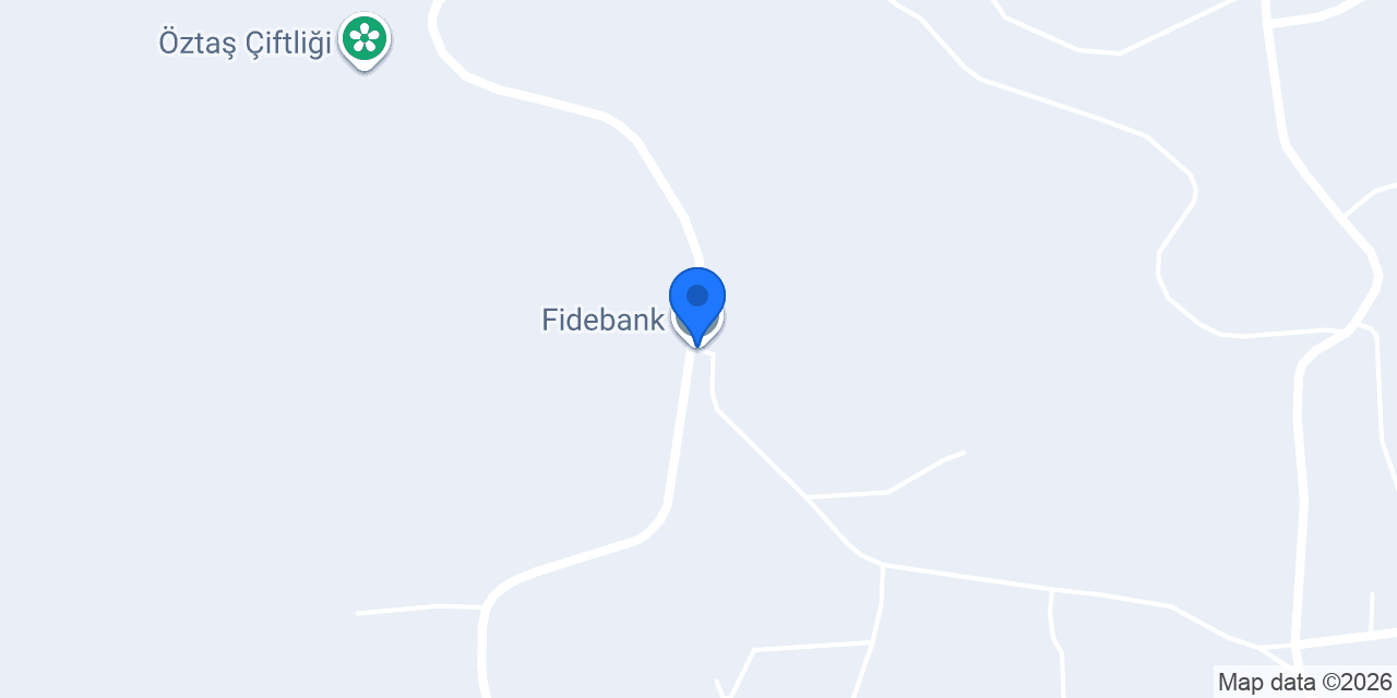 Fidebank konumu