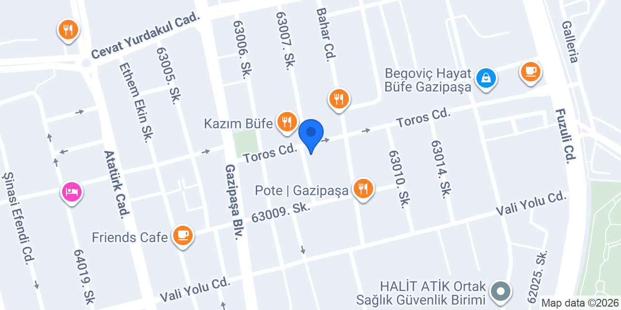 Global Vizyon Yurt dışı Eğitim konumu