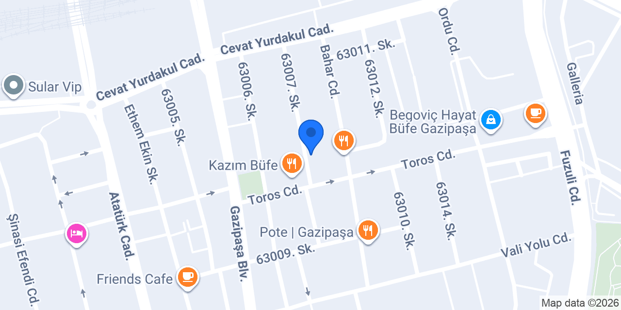 Saç Estetik konumu