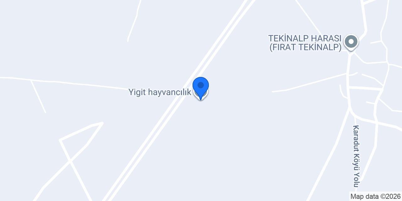 Yigit hayvancılık konumu