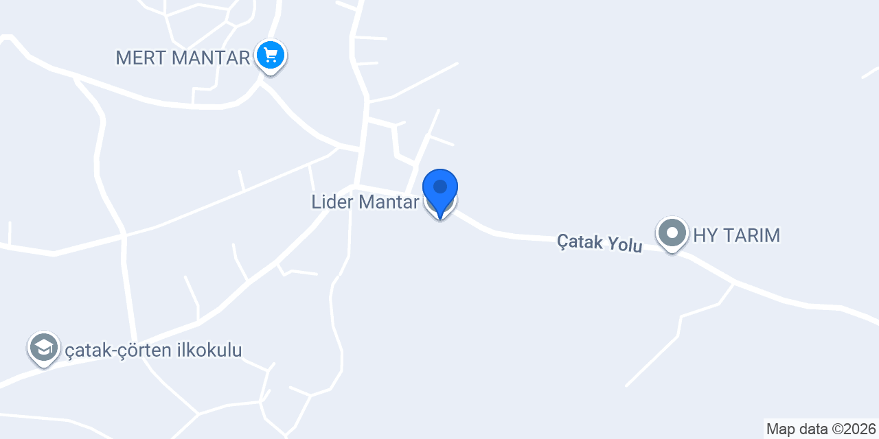 Lider Mantar konumu