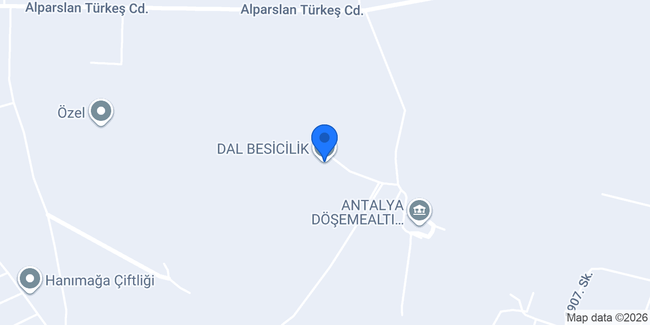 DAL BESİCİLİK konumu