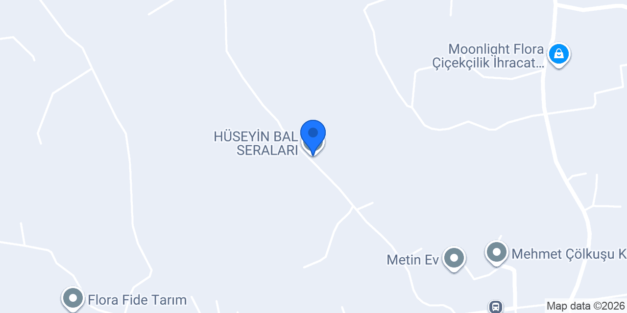 HÜSEYİN BAL SERALARI konumu