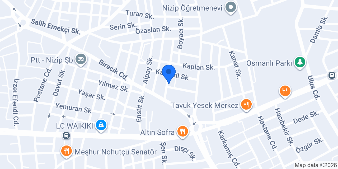 Berberim Koray konumu
