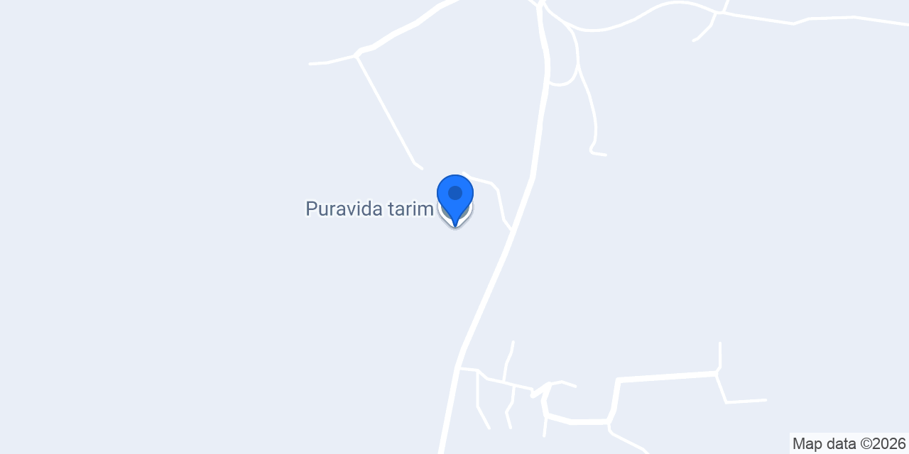 Puravida tarim konumu