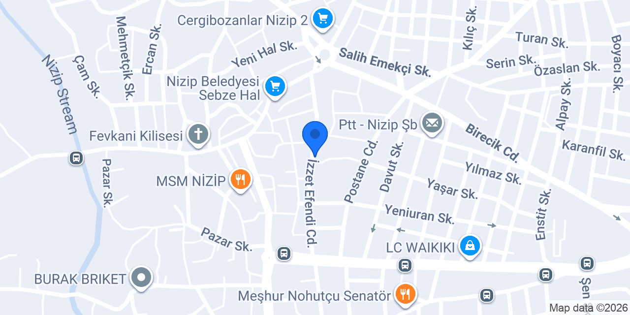 Vizyon Elektronik konumu