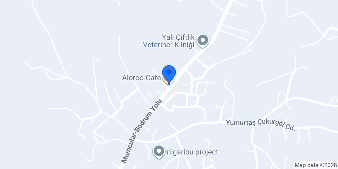 Aloroo Cafe konumu
