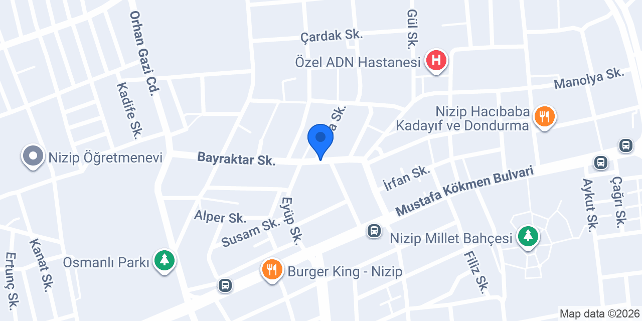 Algor Oto Kiralama konumu