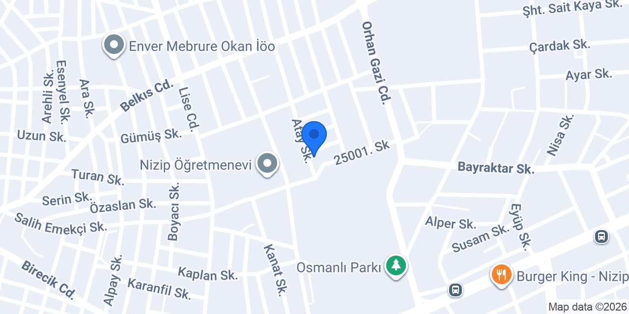 Express kargo nizip konumu