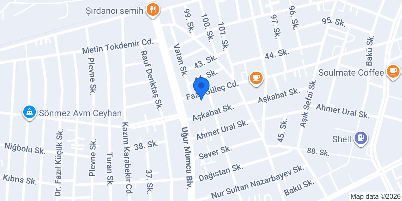 Özel Ceyhan MSAçocuk Anaokulu konumu