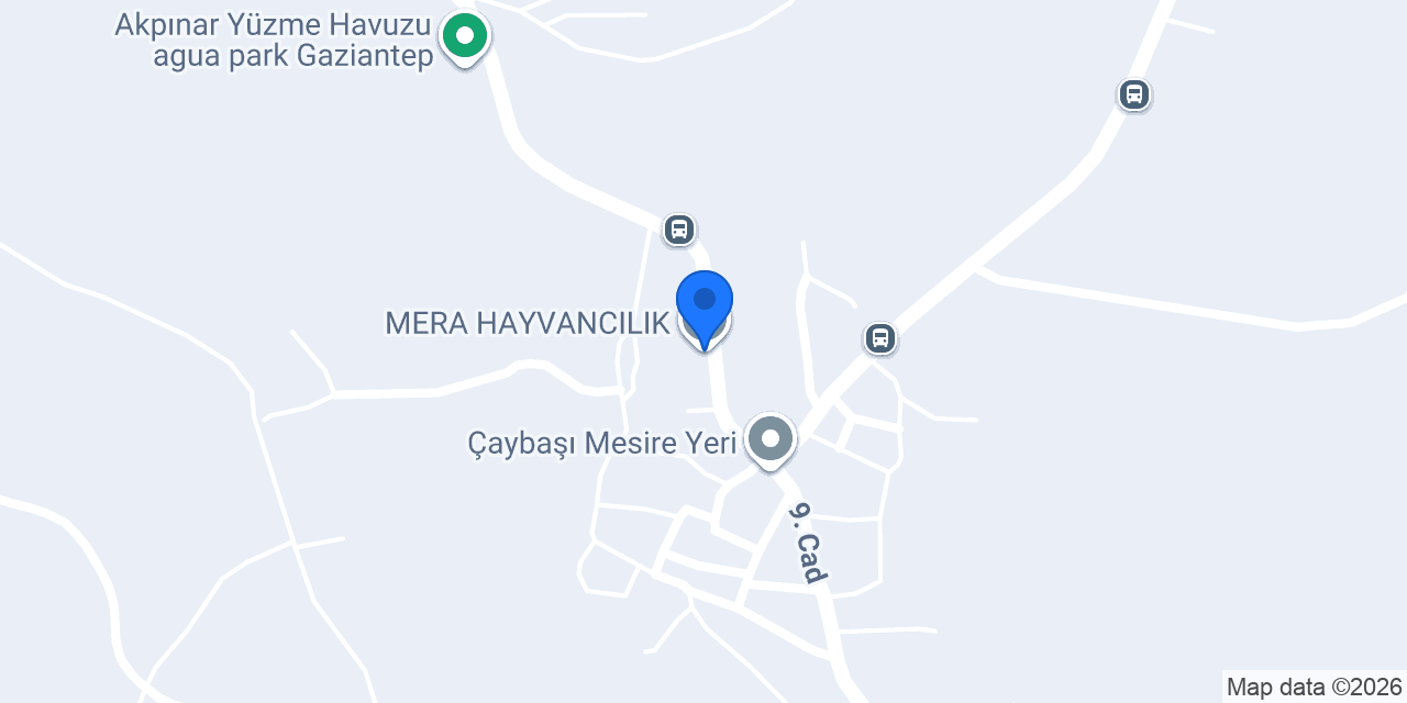 MERA HAYVANCILIK konumu