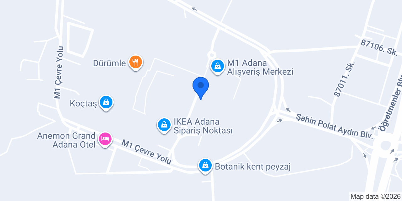 Tergan konumu