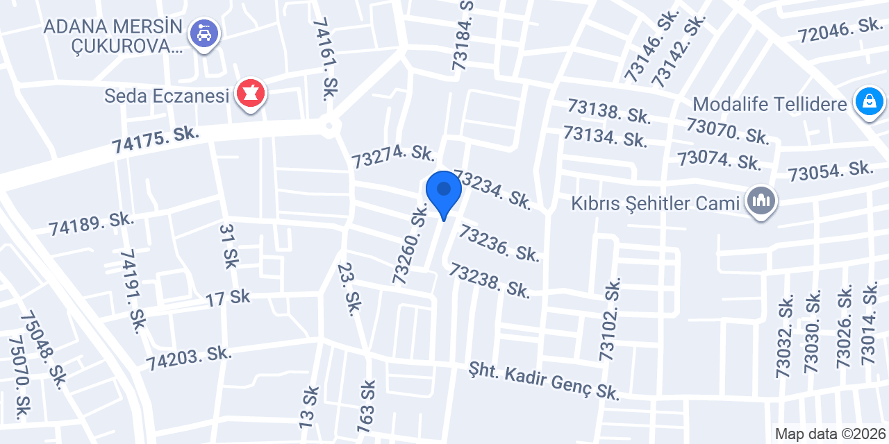 Adana Temizoğlu Nakliyat konumu