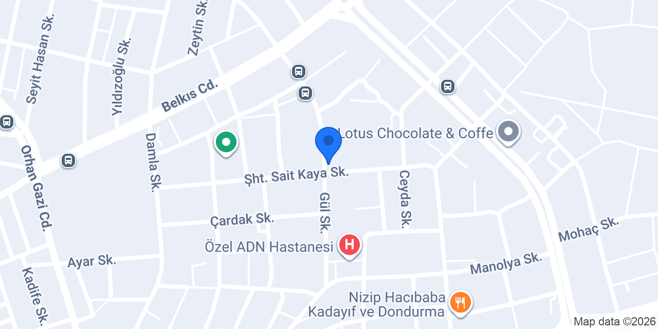 Gümüş Elektrik konumu