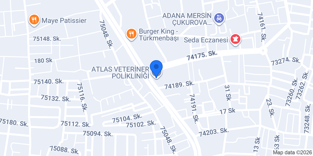 Özbek Halı konumu