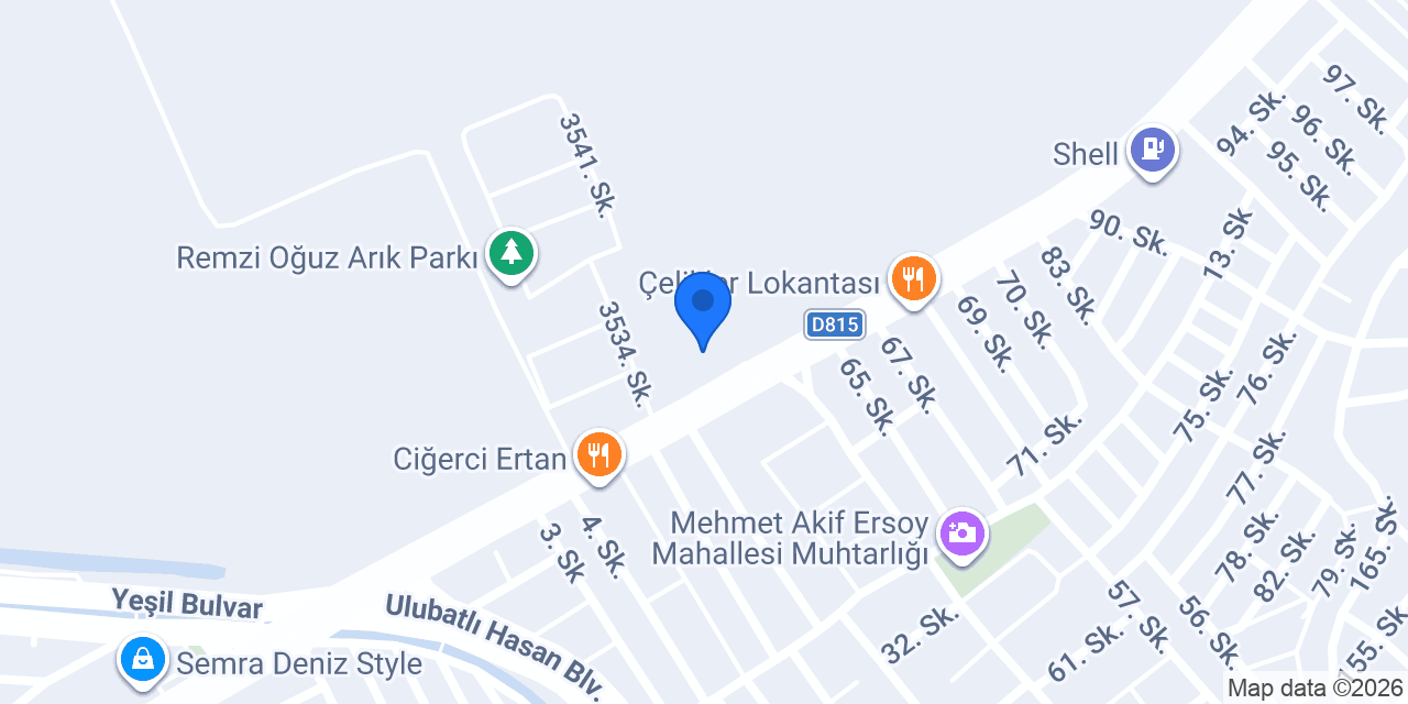 Remzi Oğuz Arık İlkokulu konumu