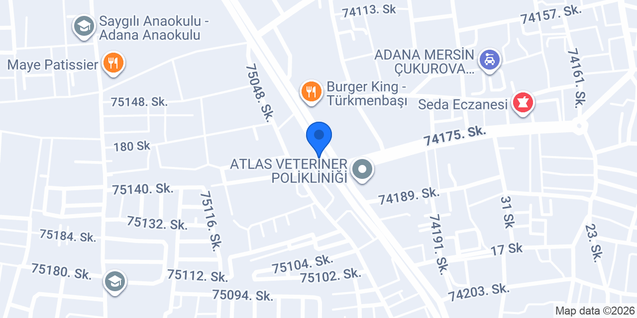 Denizatı Balık Adana konumu