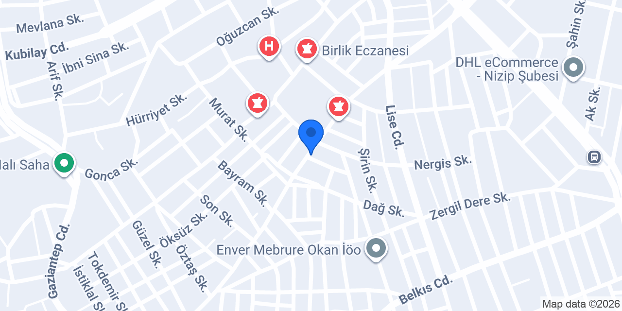Aslan teknik servisi konumu