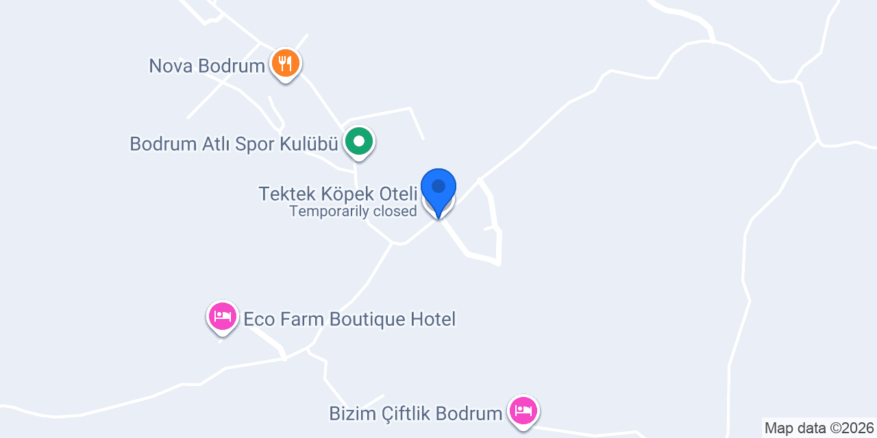 Tektek Köpek Oteli konumu