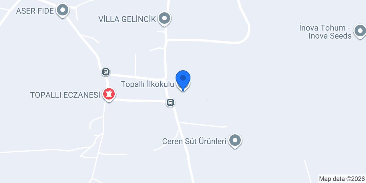 Topallı İlkokulu konumu