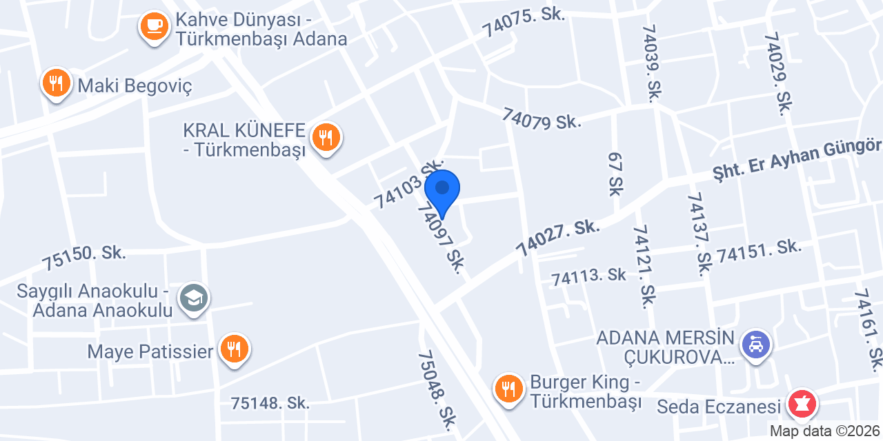 Pasaport Pizza Seyhan Pınar konumu
