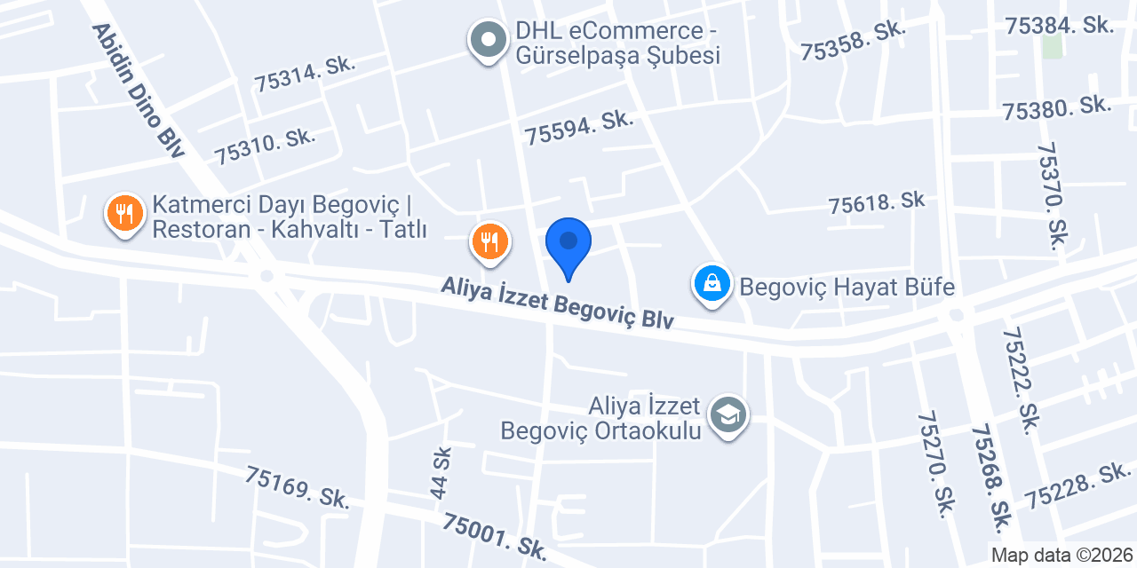 Dis Dunyasi Gürselpaşa konumu