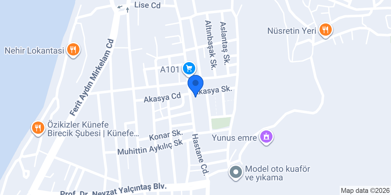 Elit ciğer konumu