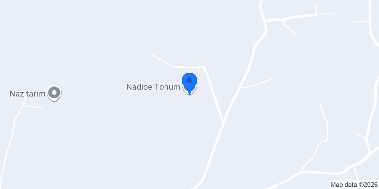 Nadide Tohum konumu