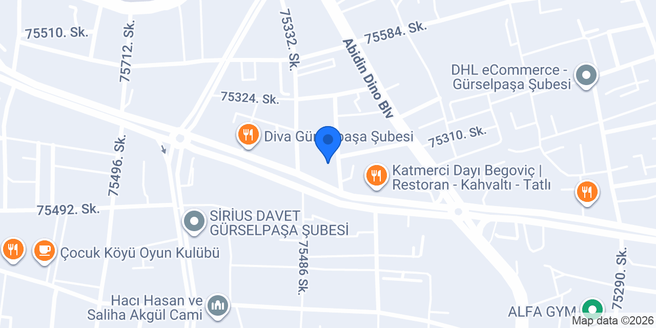 Mantı Mania Gürselpaşa konumu
