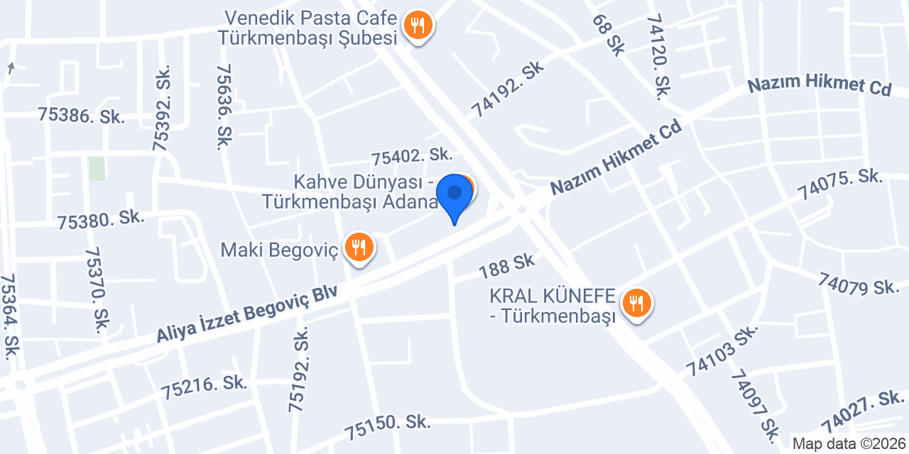 Terra Pizza - Seyhan Gürselpaşa konumu