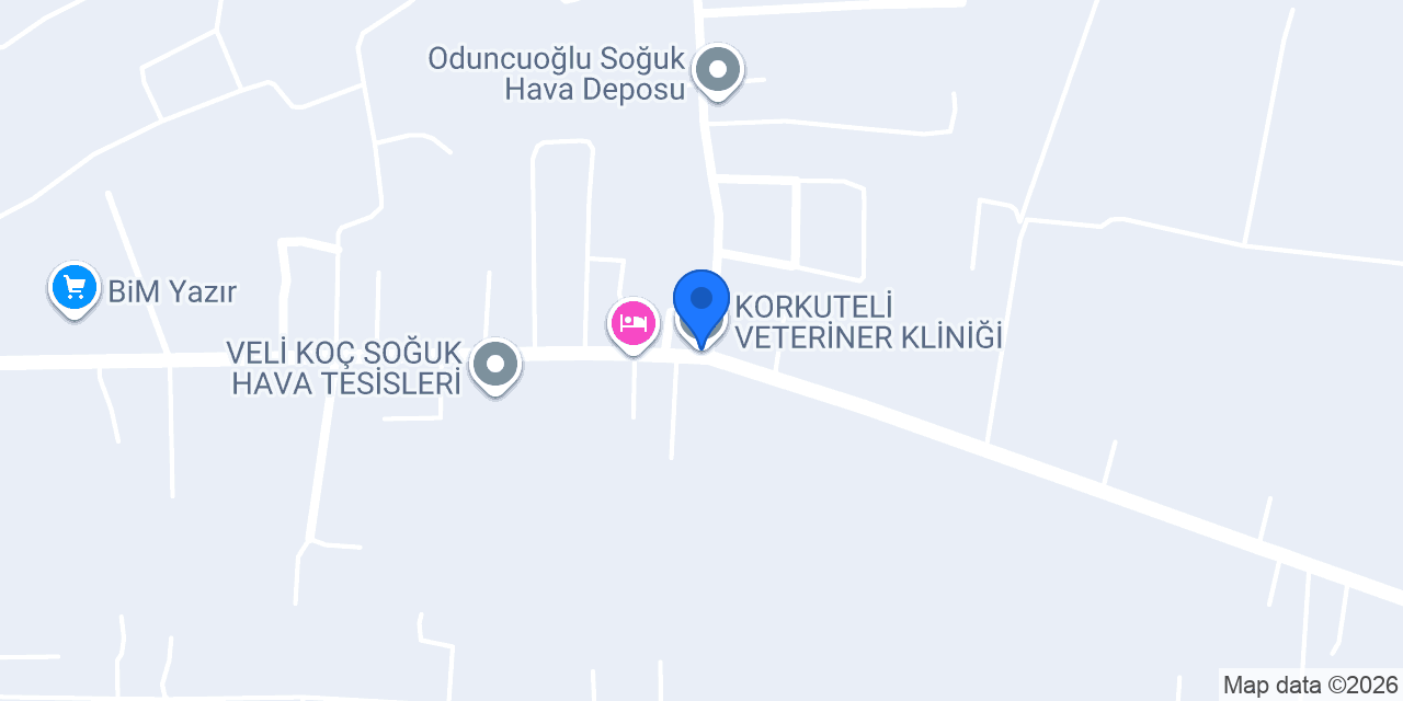 KORKUTELİ VETERİNER KLİNİĞİ konumu