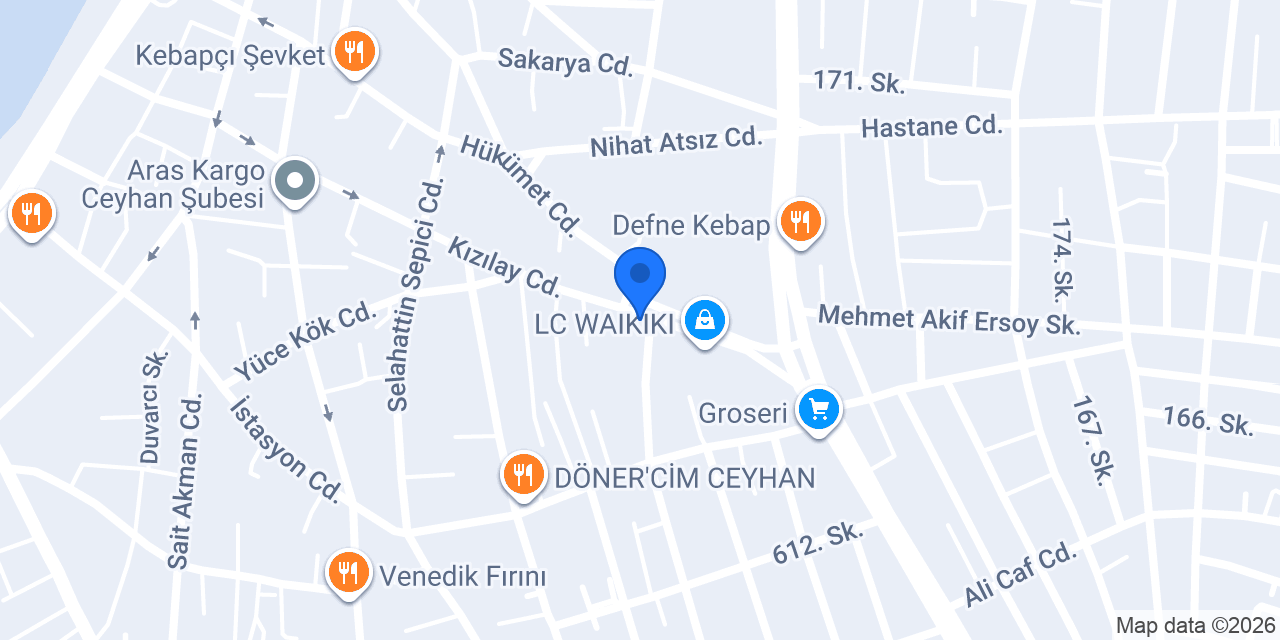 ES TUR Taşımacılık konumu