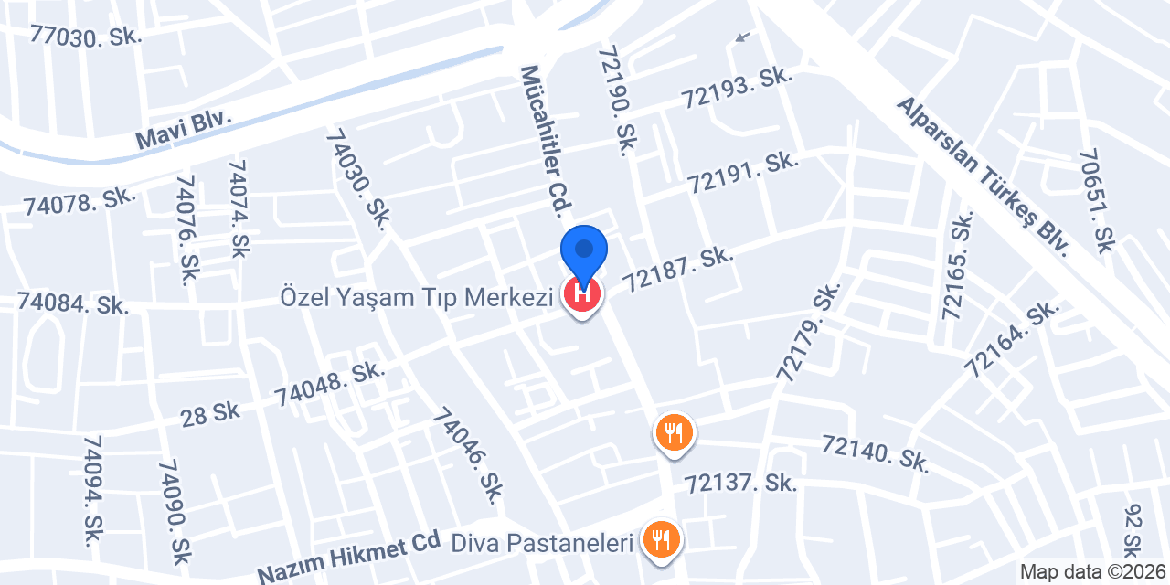 Doğuş Kargo konumu