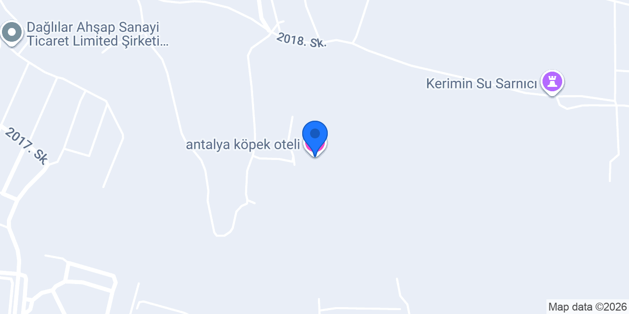 antalya köpek oteli konumu