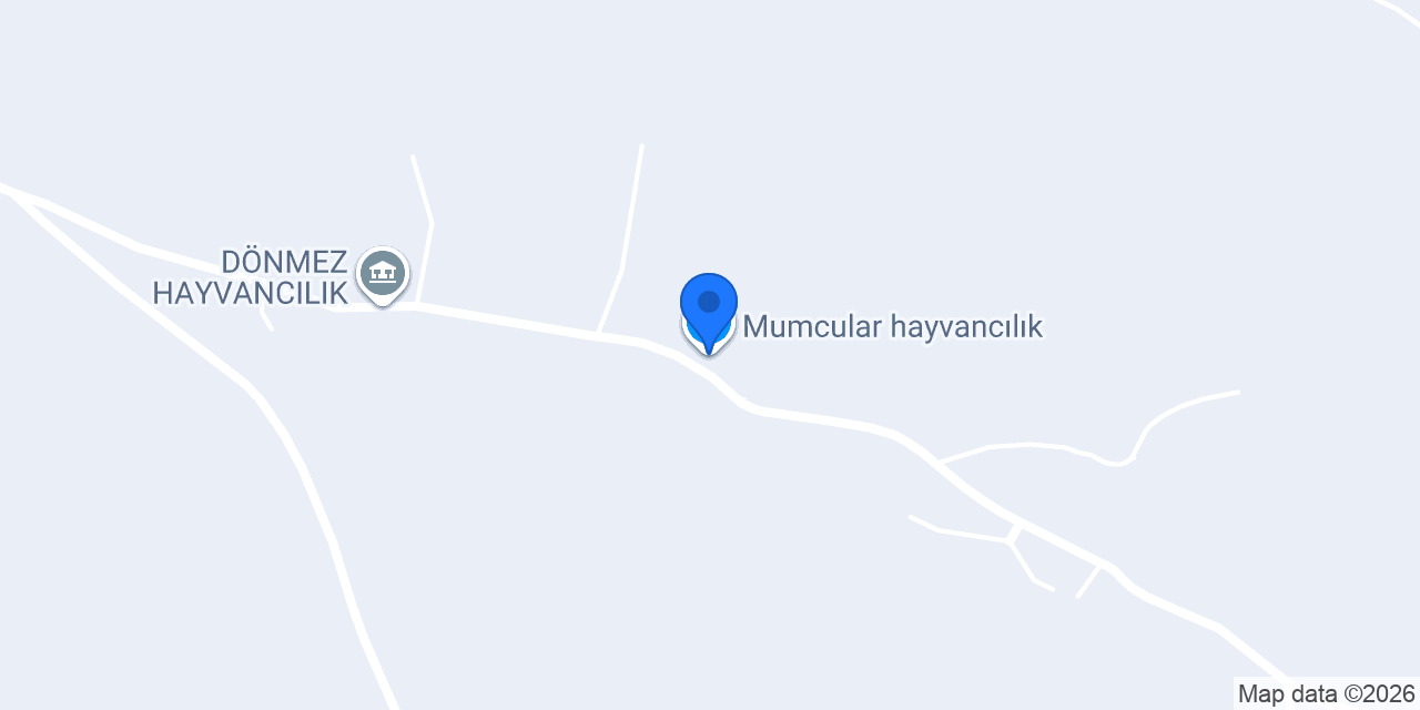 Mumcular hayvancılık konumu