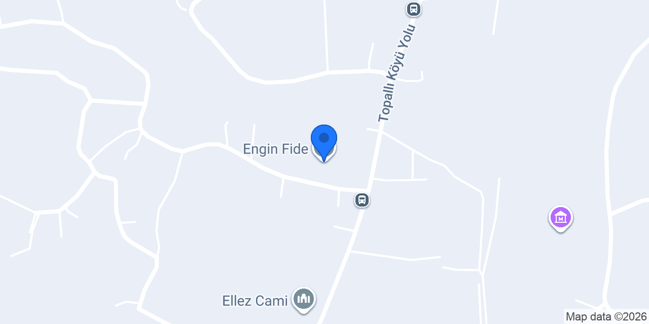 Engin Fide konumu