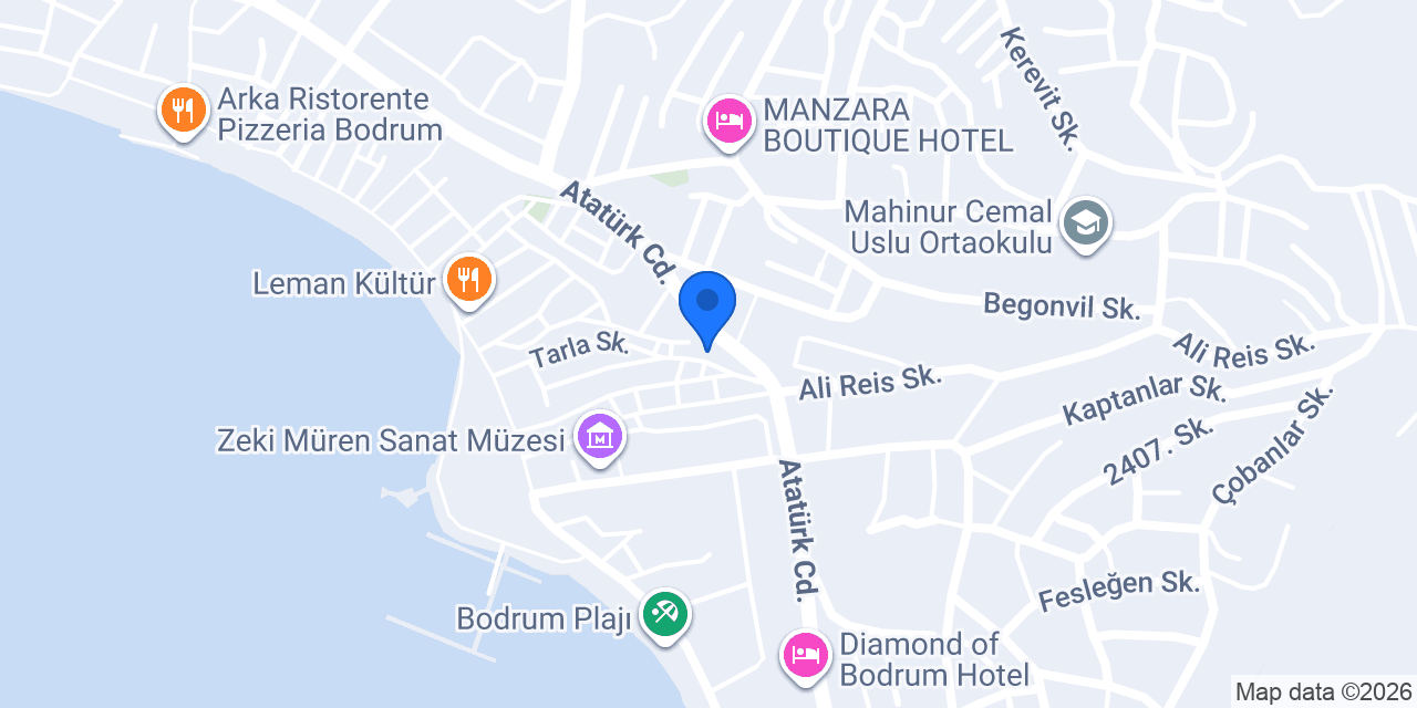 Akkuş Pansiyon konumu