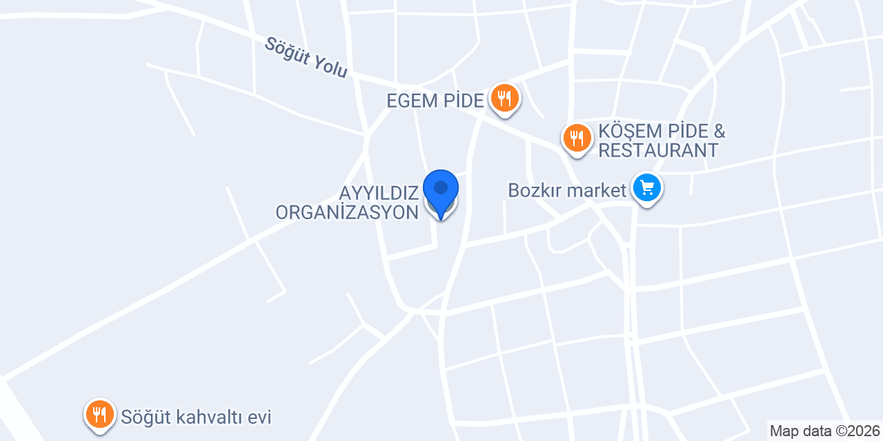 AYYILDIZ ORGANİZASYON konumu