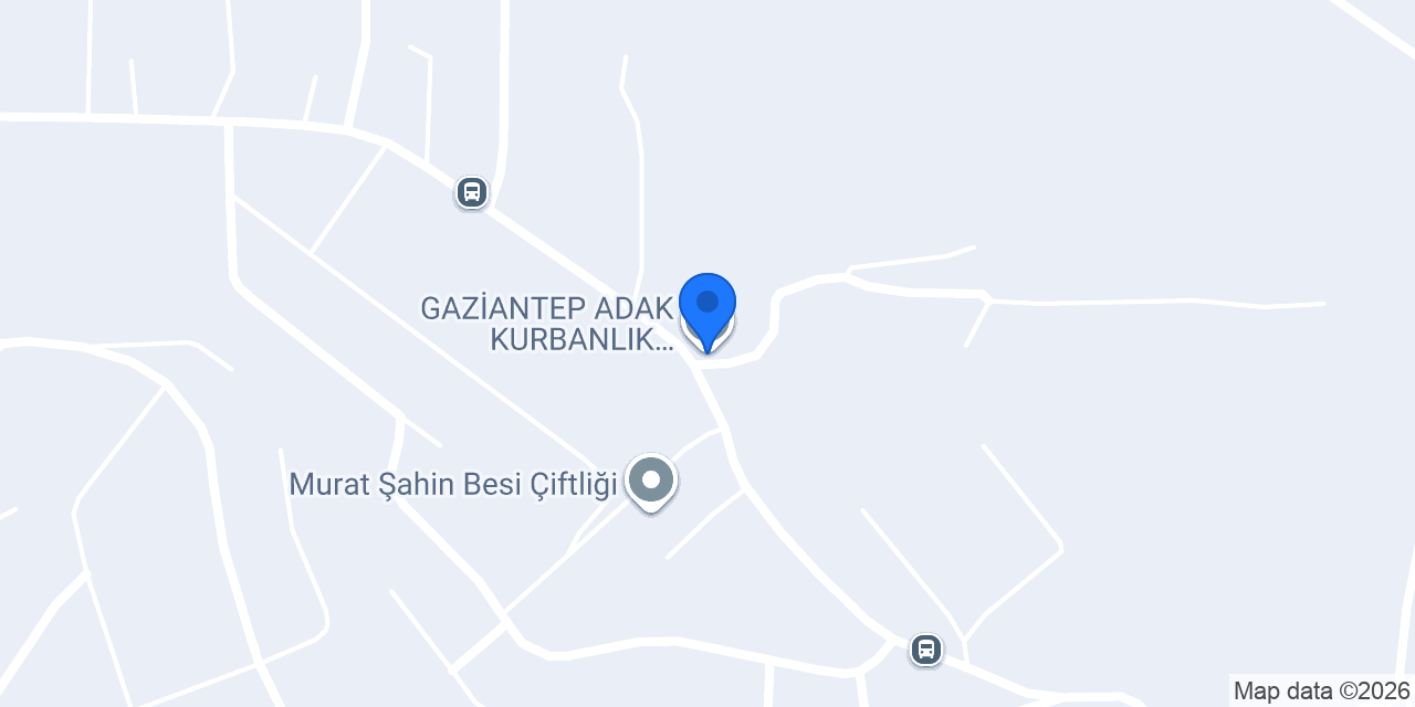 Kasap erdal konumu