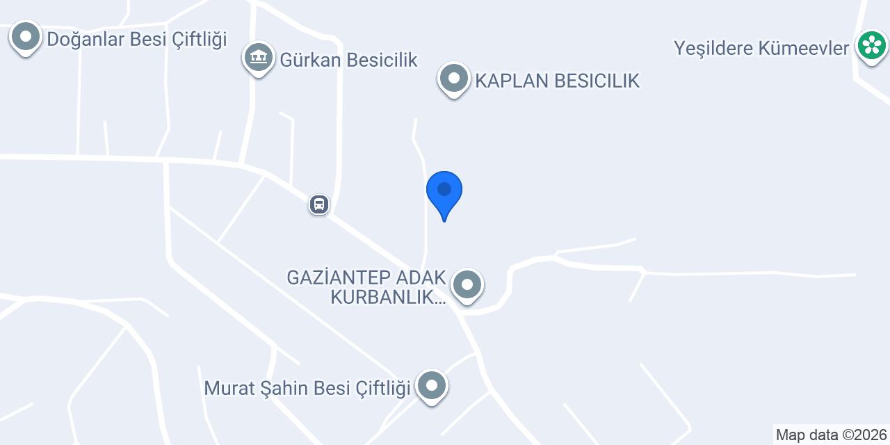 Halis Adanur Besicilik konumu