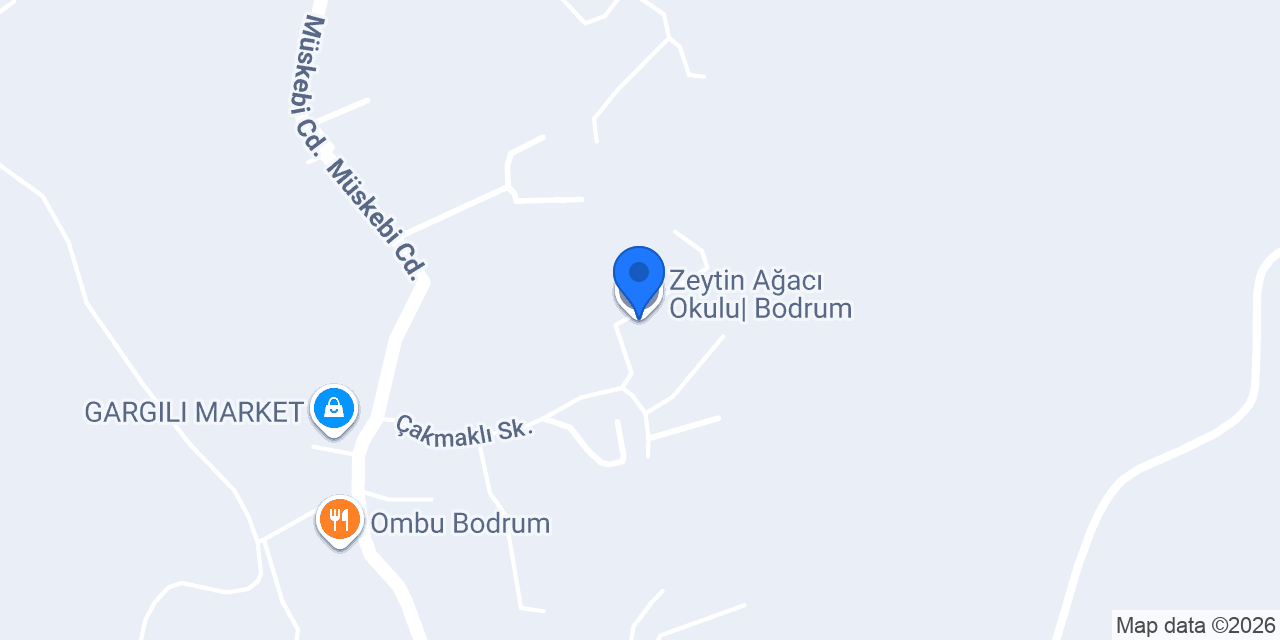 Zeytin Ağacı Okulu| Bodrum konumu