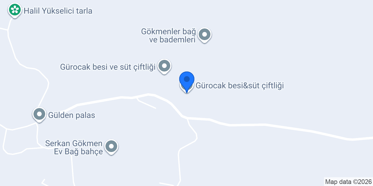 Gürocak besi&süt çiftliği konumu
