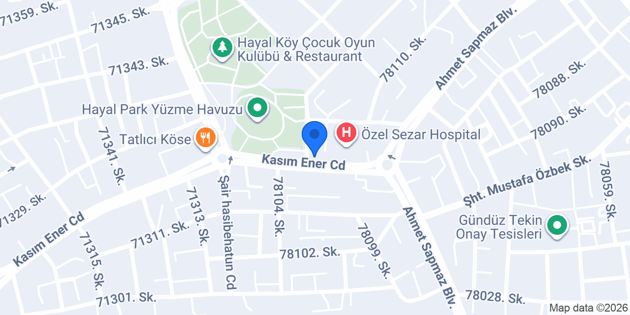 Rüzgar diecast adana konumu