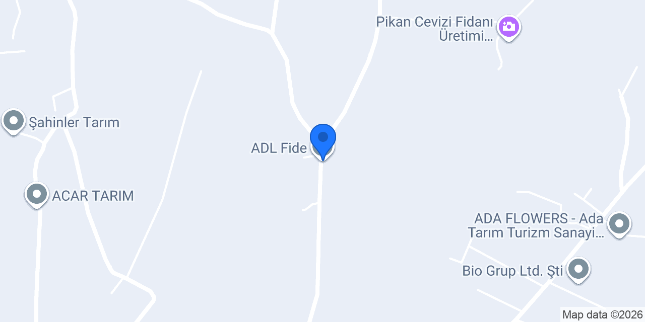 ADL Fide konumu