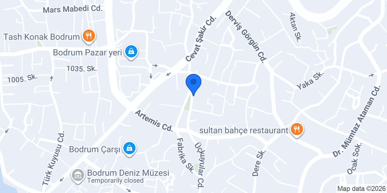 Aras Kargo Halikarnscep Şubesi konumu