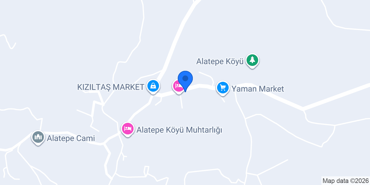 ALYA TURİZM AMAÇLI KONUT konumu